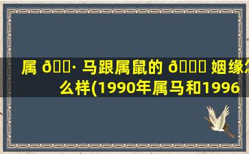 属 🌷 马跟属鼠的 🐘 姻缘怎么样(1990年属马和1996年属鼠相配吗)